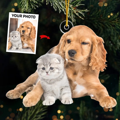 h7_e7d332e1-4038-48a5-94a6-f2f1bc00ce14_5000x
