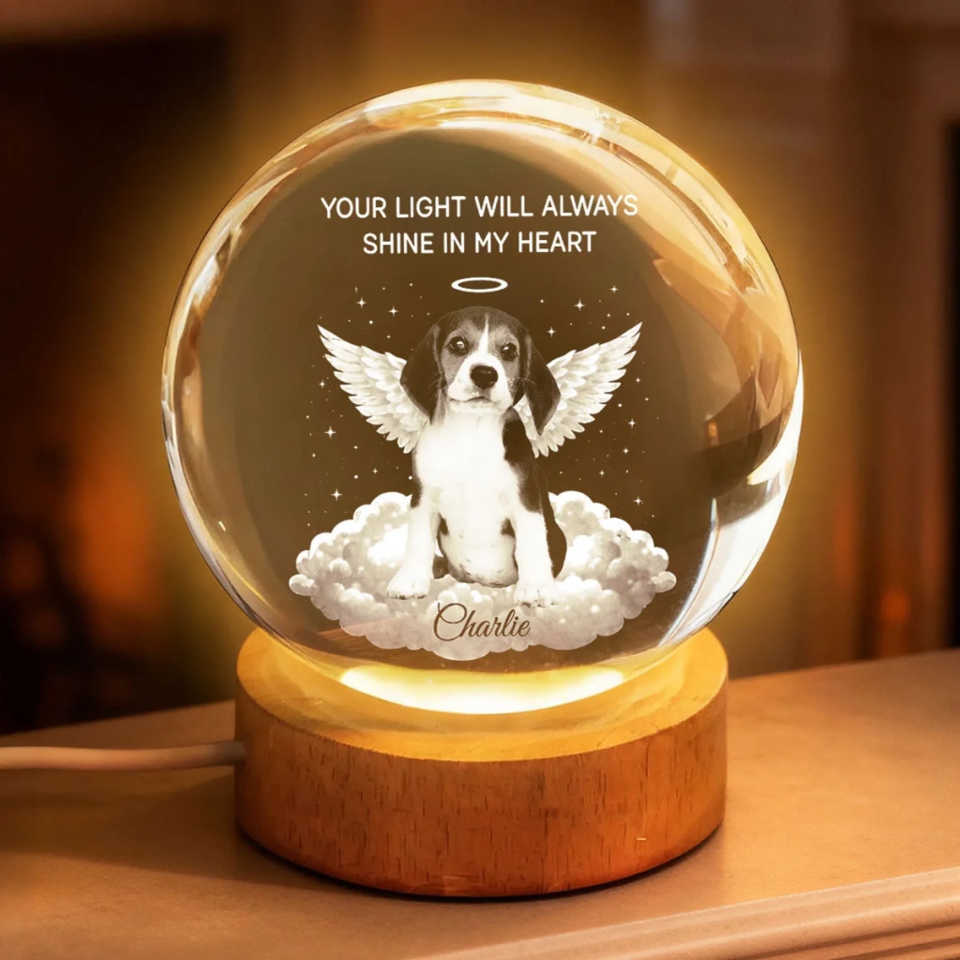 TRC22026010907062_YourLightWillAlwaysShineinMyHeartPetMemorial-PersonalizedCrystalBallLEDNightLight-HeartfeltRemembranceKeepsake_Tri_uTh_KhanhLinh_web_7